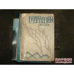 田野的风 蒋光慈文艺创作中的革命抒情与乡土叙事